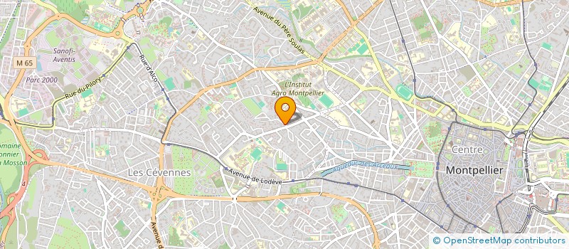 localisation de l'entreprise MONSIEUR THEO BCHINI  MONTPELLIER