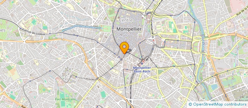 localisation de l'entreprise MONSIEUR THEO BELLINGUEZ à MONTPELLIER