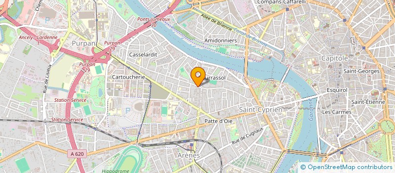 localisation de l'entreprise MONSIEUR THEO BELMAS  TOULOUSE