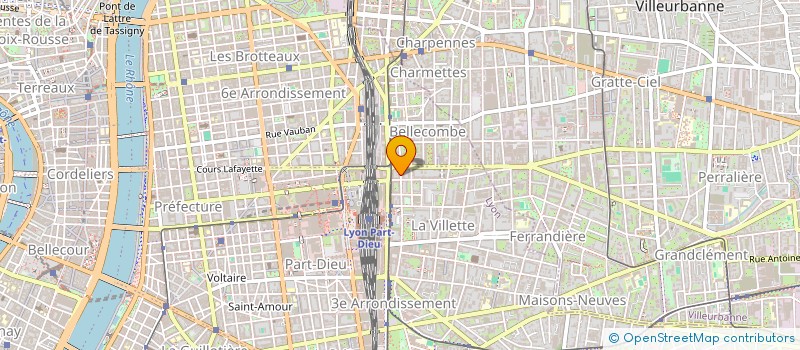 localisation de l'entreprise MONSIEUR THEO BOIN  LYON