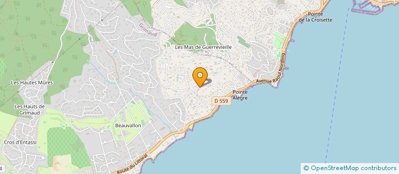 localisation de l'entreprise MONSIEUR THEO BOULAIRE  GRIMAUD