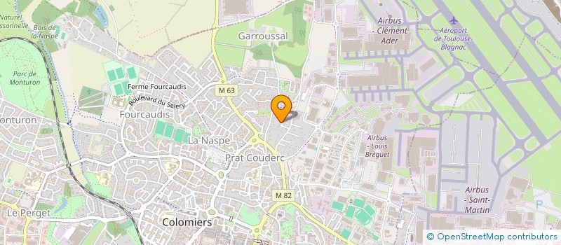 localisation de l'entreprise MONSIEUR THEO CAMPERI-GINESTET à COLOMIERS
