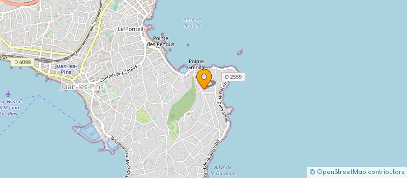 localisation de l'entreprise MONSIEUR THEO CARRER  ANTIBES