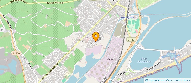 localisation de l'entreprise MONSIEUR THEO CASSES à FRONTIGNAN