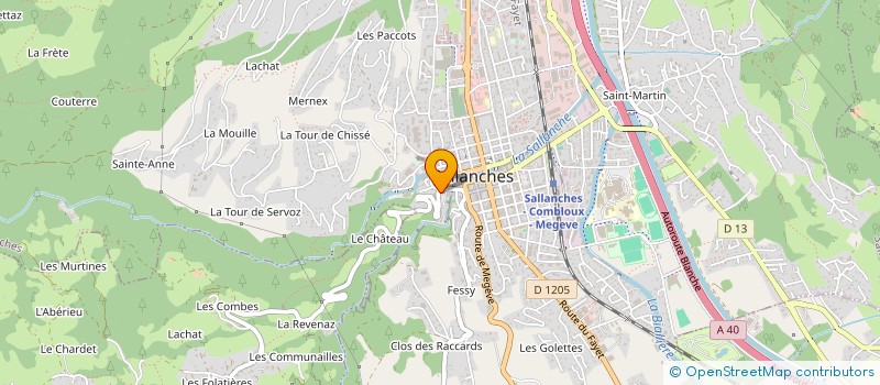 localisation de l'entreprise MONSIEUR THEO CHARROY  SALLANCHES