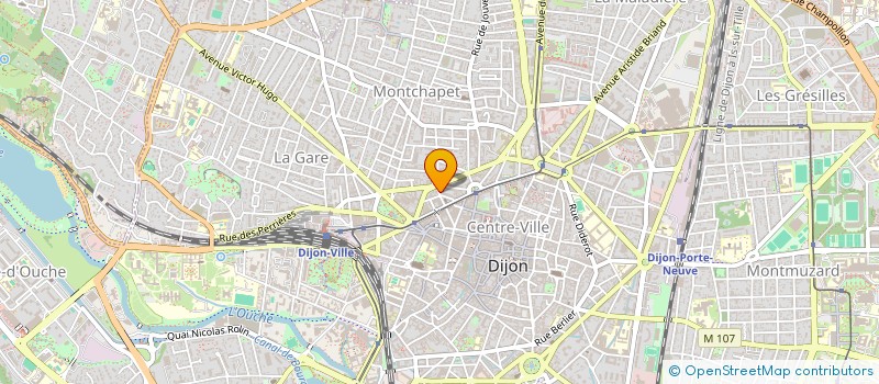 localisation de l'entreprise MONSIEUR THEO CICCONE  DIJON