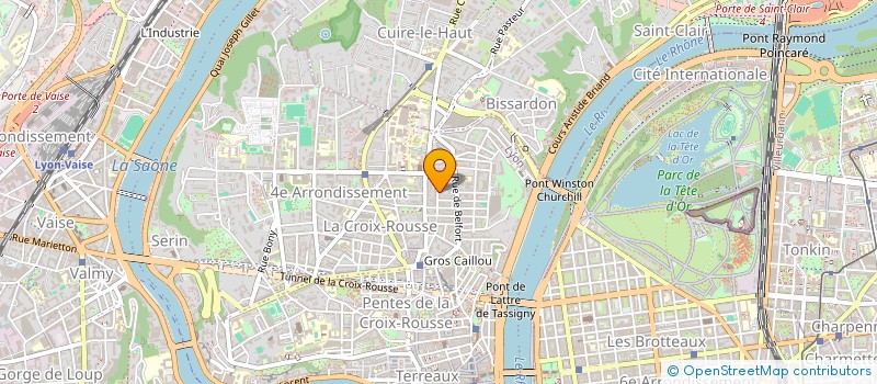 localisation de l'entreprise MONSIEUR THEO CLAVEL à LYON
