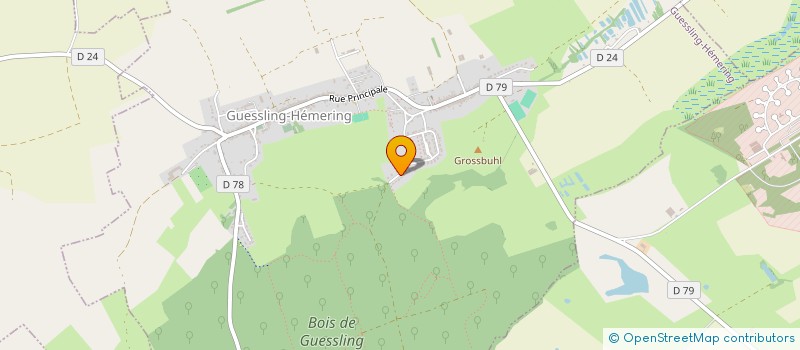 localisation de l'entreprise MONSIEUR THEO COMORETTO  GUESSLING-HEMERING