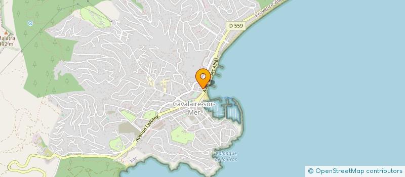 localisation de l'entreprise MONSIEUR THEO CORNA à CAVALAIRE-SUR-MER