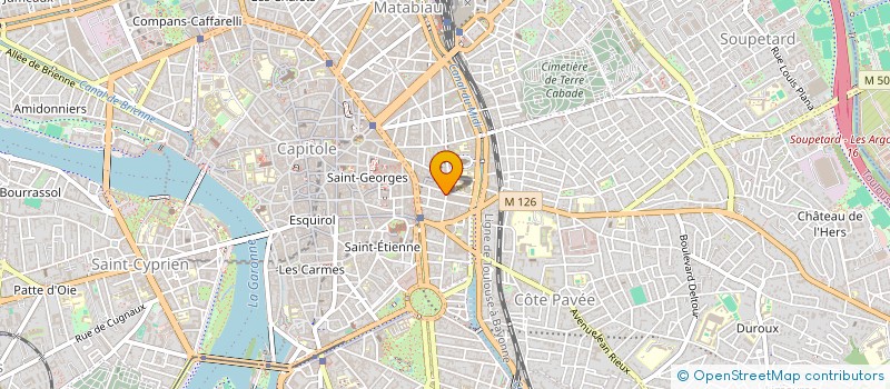 localisation de l'entreprise MONSIEUR THEO DARDONVILLE  TOULOUSE