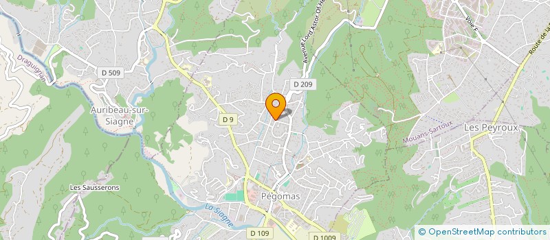 localisation de l'entreprise MONSIEUR THEO DE ALMEIDA  PEGOMAS