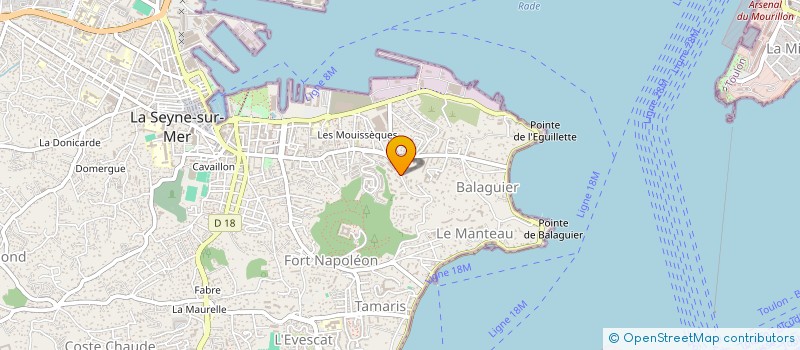 localisation de l'entreprise MONSIEUR THEO DEJOUY  LA SEYNE-SUR-MER