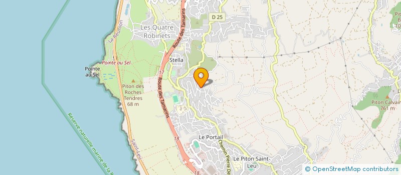 localisation de l'entreprise MONSIEUR THEO DIJOUX  SAINT-LEU