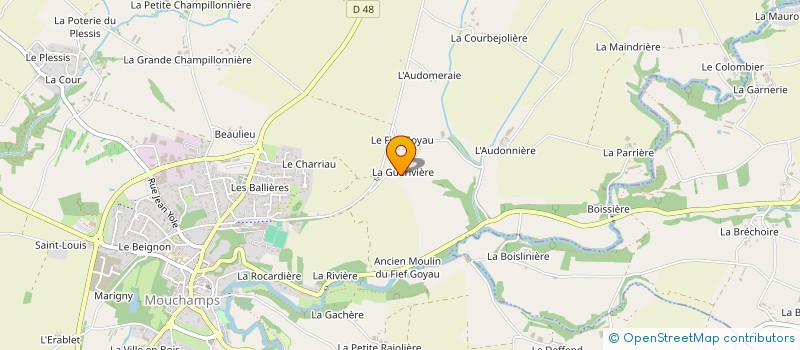 localisation de l'entreprise MONSIEUR THEO DROUSSE à MOUCHAMPS