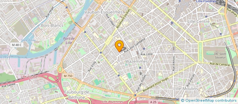 localisation de l'entreprise MONSIEUR THEO FACHE à LILLE