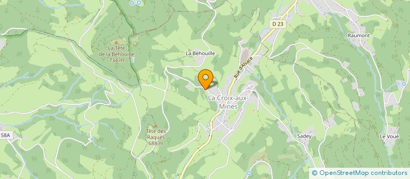 localisation de l'entreprise MONSIEUR THEO FESSER  LA CROIX-AUX-MINES