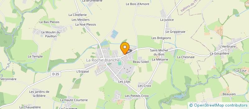 localisation de l'entreprise MONSIEUR THEO FIEBER  LA ROCHE-BLANCHE