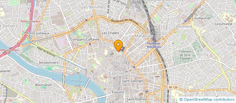 localisation de l'entreprise MONSIEUR THEO GIUGLARDO  TOULOUSE