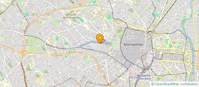 localisation de l'entreprise MONSIEUR THEO GOLBAIN à MONTPELLIER