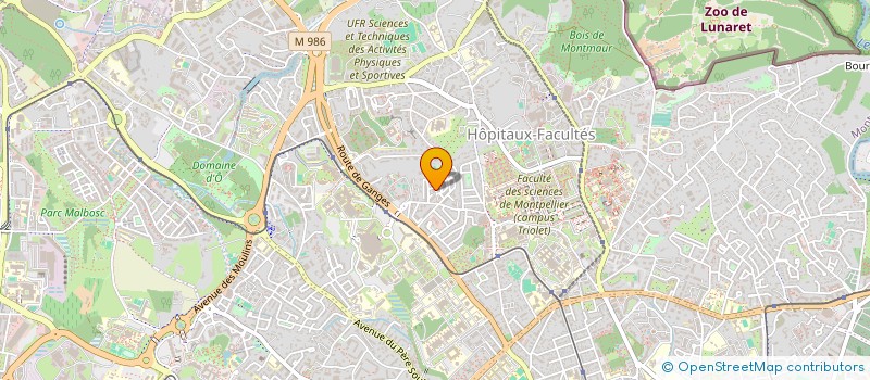 localisation de l'entreprise MONSIEUR THEO GUENEZAN  MONTPELLIER