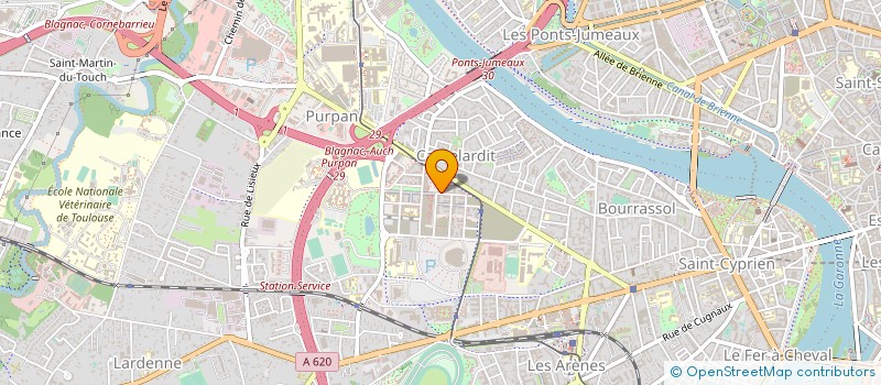 localisation de l'entreprise MONSIEUR THEO GUERRY à TOULOUSE