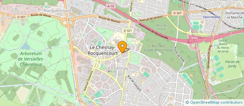 localisation de l'entreprise MONSIEUR THEO KARM  LE CHESNAY-ROCQUENCOURT