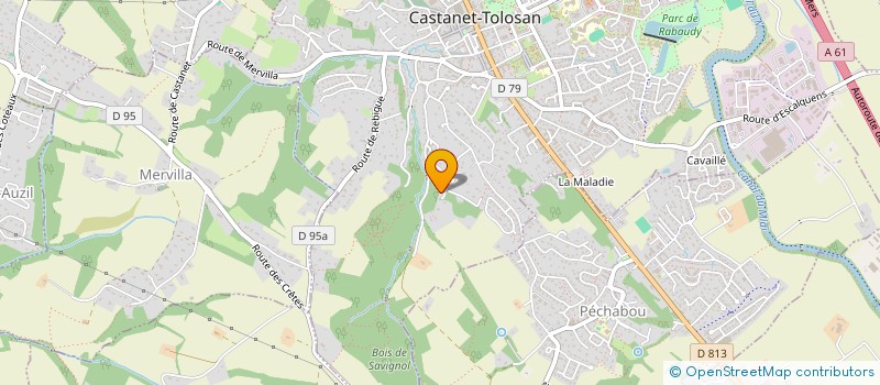 localisation de l'entreprise MONSIEUR THEO LAMARI à CASTANET-TOLOSAN