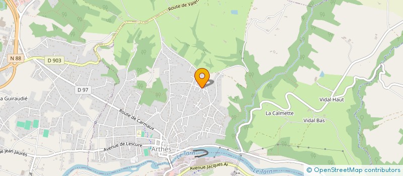 localisation de l'entreprise MONSIEUR THEO LE BORGNE  ARTHES