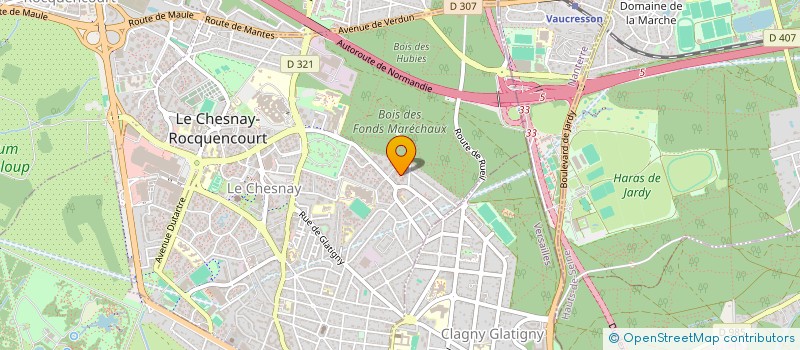 localisation de l'entreprise MONSIEUR THEO LE GAD  LE CHESNAY-ROCQUENCOURT