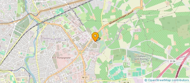 localisation de l'entreprise MONSIEUR THEO LEFEVRE  CASTELNAU-LE-LEZ