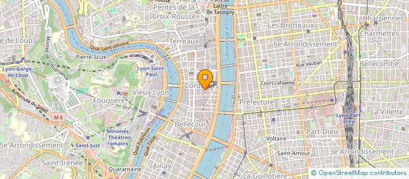localisation de l'entreprise MONSIEUR THEO LEMOINE à LYON