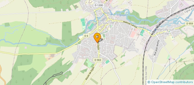 localisation de l'entreprise MONSIEUR THEO LEREUIL  IS-SUR-TILLE