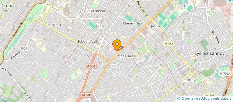 localisation de l'entreprise MONSIEUR THEO LESAFFRE  ROUBAIX