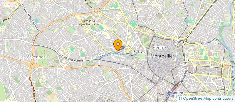 localisation de l'entreprise MONSIEUR THEO MARTIN à MONTPELLIER