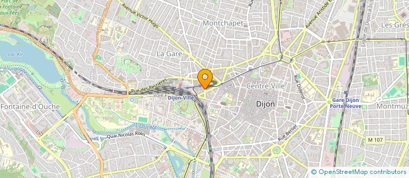 localisation de l'entreprise MONSIEUR THEO MARTINEAU à DIJON