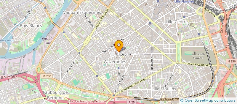 localisation de l'entreprise MONSIEUR THEO MARTINEAU à LILLE
