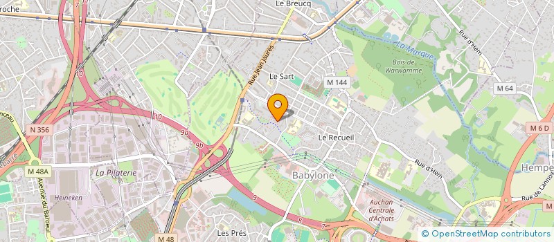 localisation de l'entreprise MONSIEUR THEO MASSELOT  VILLENEUVE-D'ASCQ