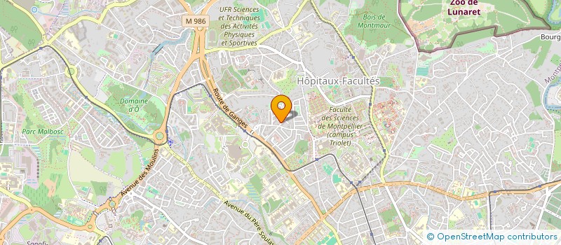 localisation de l'entreprise MONSIEUR THEO MAURIN  MONTPELLIER