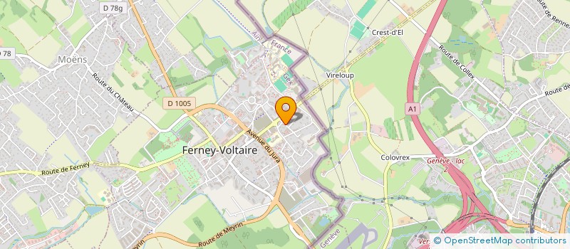 localisation de l'entreprise MONSIEUR THEO MBISE à FERNEY-VOLTAIRE