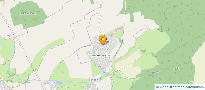 localisation de l'entreprise MONSIEUR THEO MELIGNER  RURANGE-LES-THIONVILLE