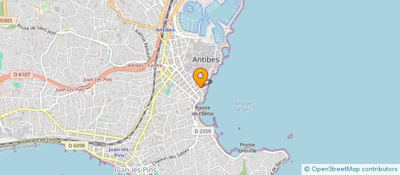 localisation de l'entreprise MONSIEUR THEO MENAGER à ANTIBES