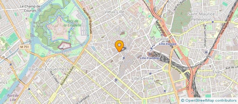 localisation de l'entreprise MONSIEUR THEO MORIN  LILLE