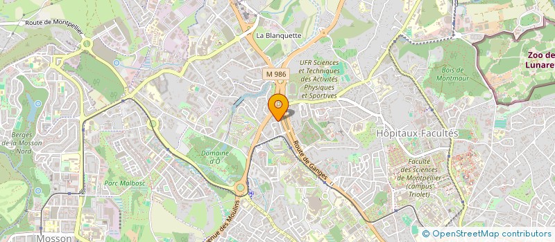 localisation de l'entreprise MONSIEUR THEO NEMIRI  MONTPELLIER