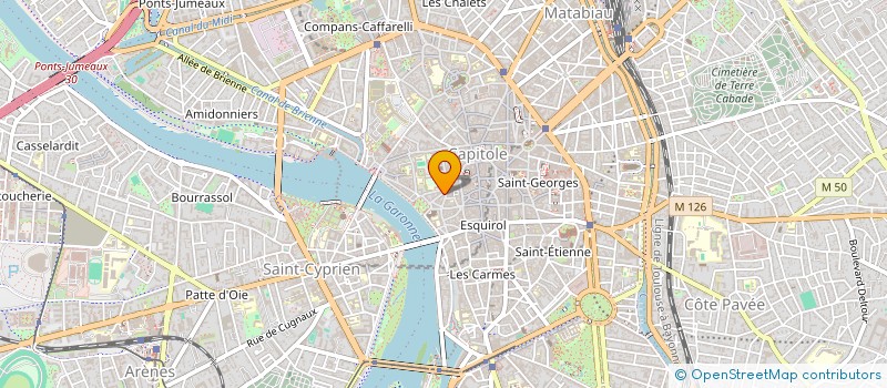localisation de l'entreprise MONSIEUR THEO PELISSIER à TOULOUSE