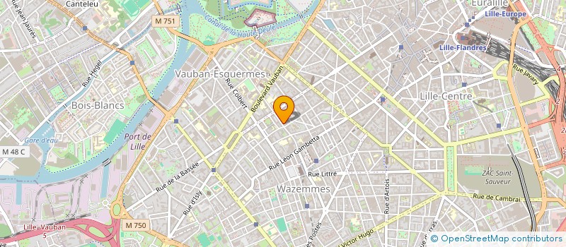 localisation de l'entreprise MONSIEUR THEO PITELET  LILLE