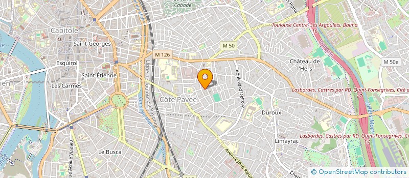 localisation de l'entreprise MONSIEUR THEO RAMONATXO  TOULOUSE