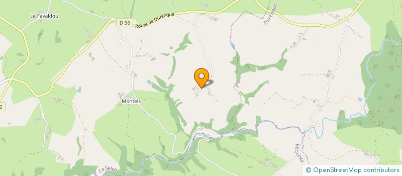 localisation de l'entreprise MONSIEUR THEO RAYMOND  LA SELVE