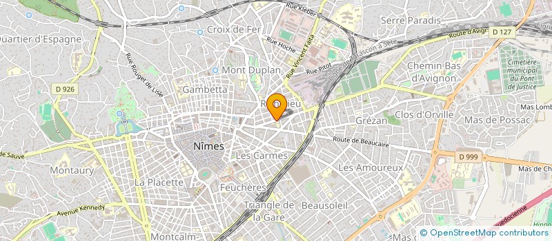 localisation de l'entreprise MONSIEUR THEO REYES  NIMES