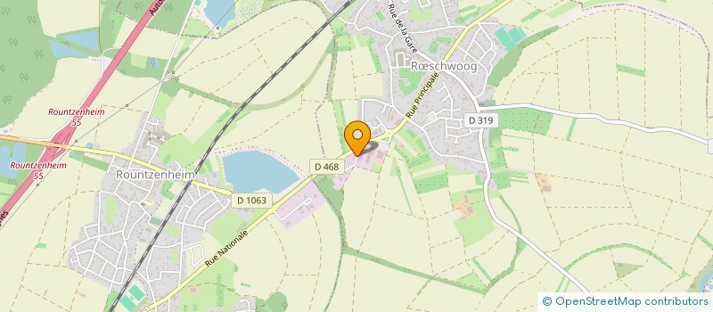 localisation de l'entreprise MONSIEUR THEO RIEGER  RSCHWOOG