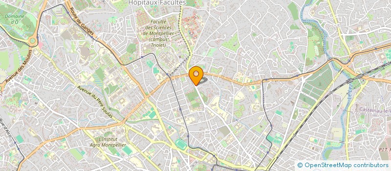 localisation de l'entreprise MONSIEUR THEO ROL à MONTPELLIER